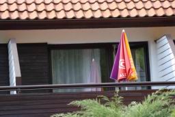 Resize of DSC04301.JPG